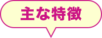主な特徴